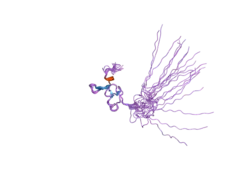 2csz: Solution Structure of the RING domain of the Synaptotagmin-like protein 4