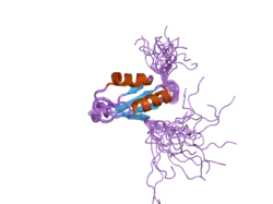 2dgp: Solution structure of the N-terminal RNA binding domain in Bruno-like 4 RNA-binding protein
