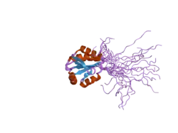 2diy: The solution structure of the thioredoxin domain of human Thioredoxin-like protein 2