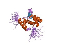 2doa: Solution structure of the helical domain in human Eleven-nineteen lysine-rich leukemia protein ELL