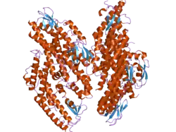 2e9x: The crystal structure of human GINS core complex