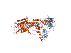 2eat: Crystal structure of the SR CA2+-ATPASE with bound CPA and TG