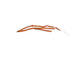 2efk: Crystal structure of the EFC domain of Cdc42-interacting protein 4