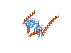 2ela: Crystal Structure of the PTB domain of human APPL1