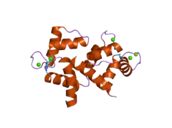 2f3y: Calmodulin/IQ domain complex