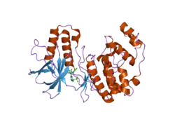 2ghl: Mutant Mus musculus p38 kinase domain in complex with inhibitor PG-874743