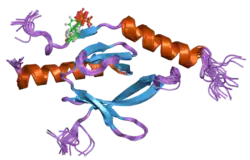2h7d: Solution structure of the talin F3 domain in complex with a chimeric beta3 integrin-PIP kinase peptide