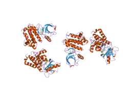 2hen: Crystal Structure of the EphB2 Receptor Kinase domain in complex with ADP