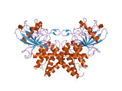 2i1y: Crystal structure of the phosphatase domain of human PTP IA-2