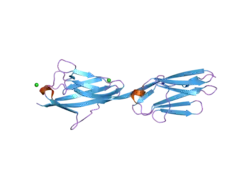 2ill: Anomalous substructure of Titin-A168169