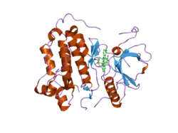 2itu: CRYSTAL STRUCTURE OF EGFR KINASE DOMAIN L858R MUTATION IN COMPLEX WITH AFN941