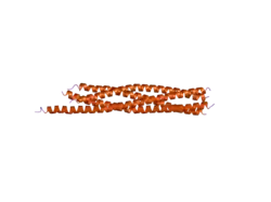 2nps: Crystal Structure of the Early Endosomal SNARE Complex