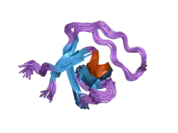 2nwm: Solution structure of the first SH3 domain of human Vinexin and its interaction with the peptides from Vinculin