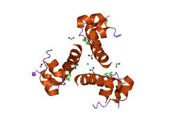 2omg: Structure of human insulin cocrystallized with protamine and urea