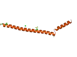 2q2f: Structure of the human Selenoprotein S (VCP-interacting membrane protein)