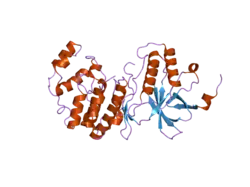 3coi: Crystal structure of p38delta kinase