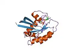 5p21: REFINED CRYSTAL STRUCTURE OF THE TRIPHOSPHATE CONFORMATION OF H-RAS P21 AT 1.35 ANGSTROMS RESOLUTION: IMPLICATIONS FOR THE MECHANISM OF GTP HYDROLYSIS