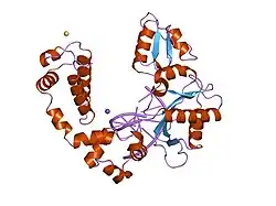 7icu: DNA POLYMERASE BETA (POL B) (E.C.2.7.7.7) COMPLEXED WITH SIX BASE PAIRS OF DNA; SOAKED IN THE PRESENCE OF CDCL2 (0.1 MILLIMOLAR)