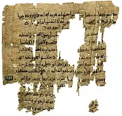 Manuscript of Malik's Muwatta in soft, flowing Naskh script