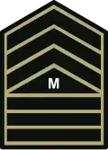 Master sergeant (Philippine Army)[31]
