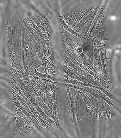A comparative image of Uruk Sulcus, showing Galileo's higher-resolution images superimposed on Voyager 2's lower-resolution images of the same region, which revealed details of its parallel ridges and troughs. The Galileo version was taken in September 1997.[16]