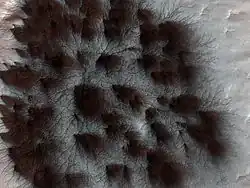 A large 'spider' feature apparently emanating sediment to give rise to dark dune spots. Area size: 1&nbsp;km (0.62&nbsp;mi) across.