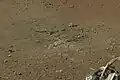 Goulburn rock outcrop on Mars - near the landing site (Bradbury Landing) of the Curiosity rover (August 17, 2012).