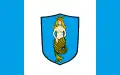 Flag of Białobrzegi