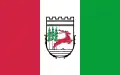 Flag of Szczytno