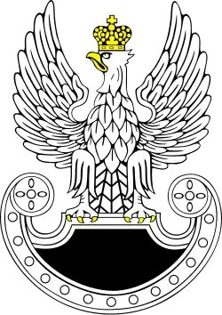 Insignia of the Polish Special Forces