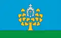 Flag of Gmina Lipno