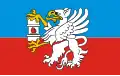 Flag of Łęczna County