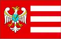 Flag of Gniezno County
