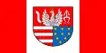 Flag of Szydłowiec County