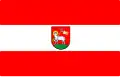 Flag of Wieluń County