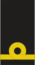 A single gold stripe with an executive curl in the center