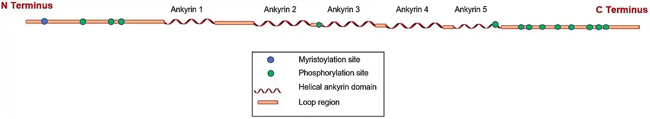 POTEB schematic