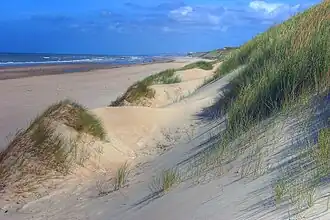 A photo of seaside dunes