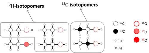 Ethanol isotopologues