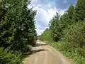 Pašušvys Forest - a part of the Lapkalnys–Paliepiai Forest