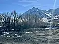 Burned trees further down southbound US 395