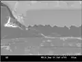 Magnified view of cross section of BGA pad and solder ball. Dielectric has cracked and the pad has started to lift, eventually creating pad cratering.