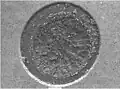Pad crater left on printed circuit board after copper pad from a BGA connection has been pulled away.