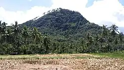 Padang gantiang