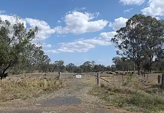 Paddock along Pechey Maclagan Road, 2014