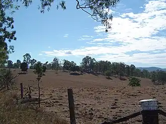 Paddocks along Hills Road, 2014