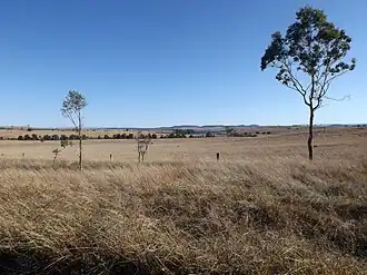 Paddocks along Corcorans Road, 2015