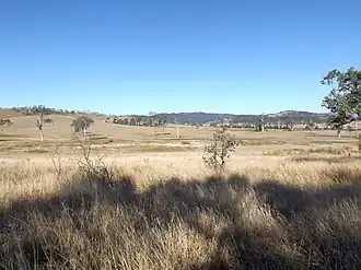 Paddocks along Wivenhoe Somerset Dam Road, 2015