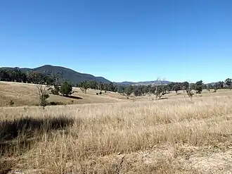 Fields along Runges Road, 2015