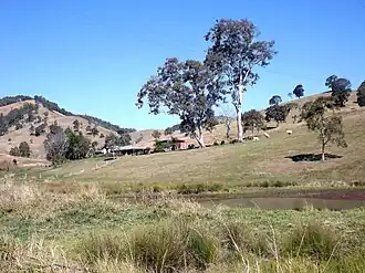 Paddocks on Jenkinsons Road, 2015